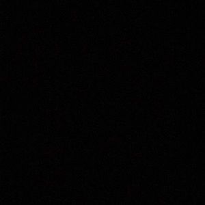 Meet your Posher, Riley